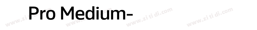 小米 Pro Medium字体转换